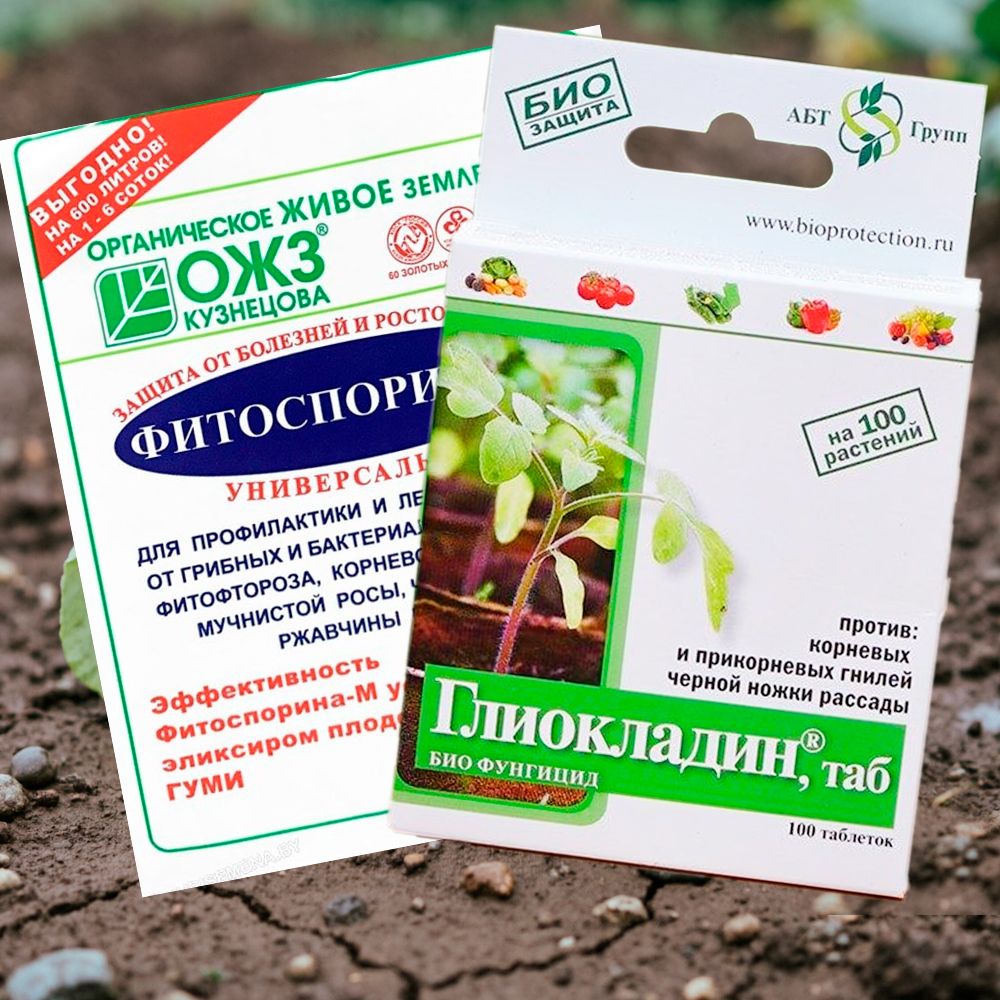 Средства от килы капусты